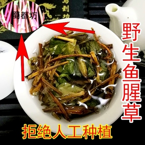 鱼腥草提高免疫力消肿消炎抵抗力