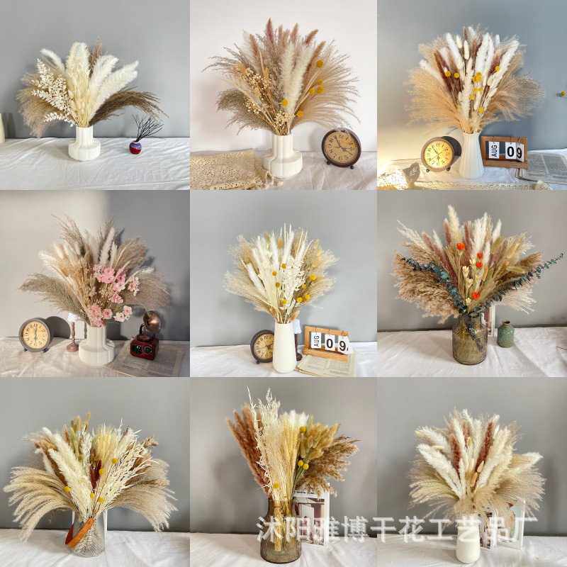 新款直销芦苇兔尾草潘帕斯草Pampas干花花束装饰拍摄道具礼品亚马