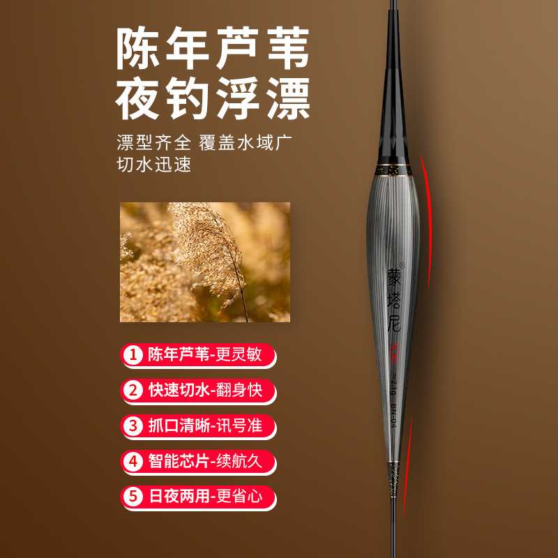 新款直销蒙塔尼LED灯珠细尾芦苇电子夜光漂日夜两用硬尾黑坑轻口