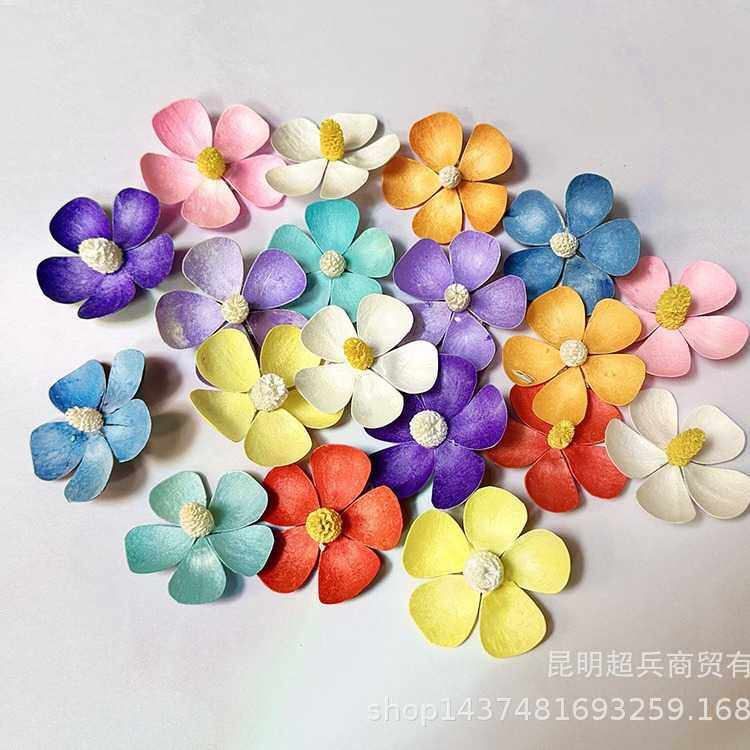 新款直销【文心兰紫罗兰花头】文心兰紫罗兰干花单个花头滨菊小雏,居家布艺,珠子/钻饰/花朵等配饰,淘宝优惠券,粉丝福利购,淘宝优惠卷