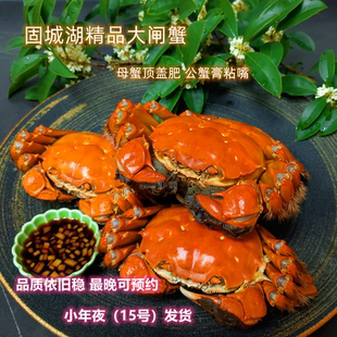固城湖精品大闸蟹 母蟹顶盖肥 公蟹膏粘嘴 活蟹顺丰特快 品质依旧