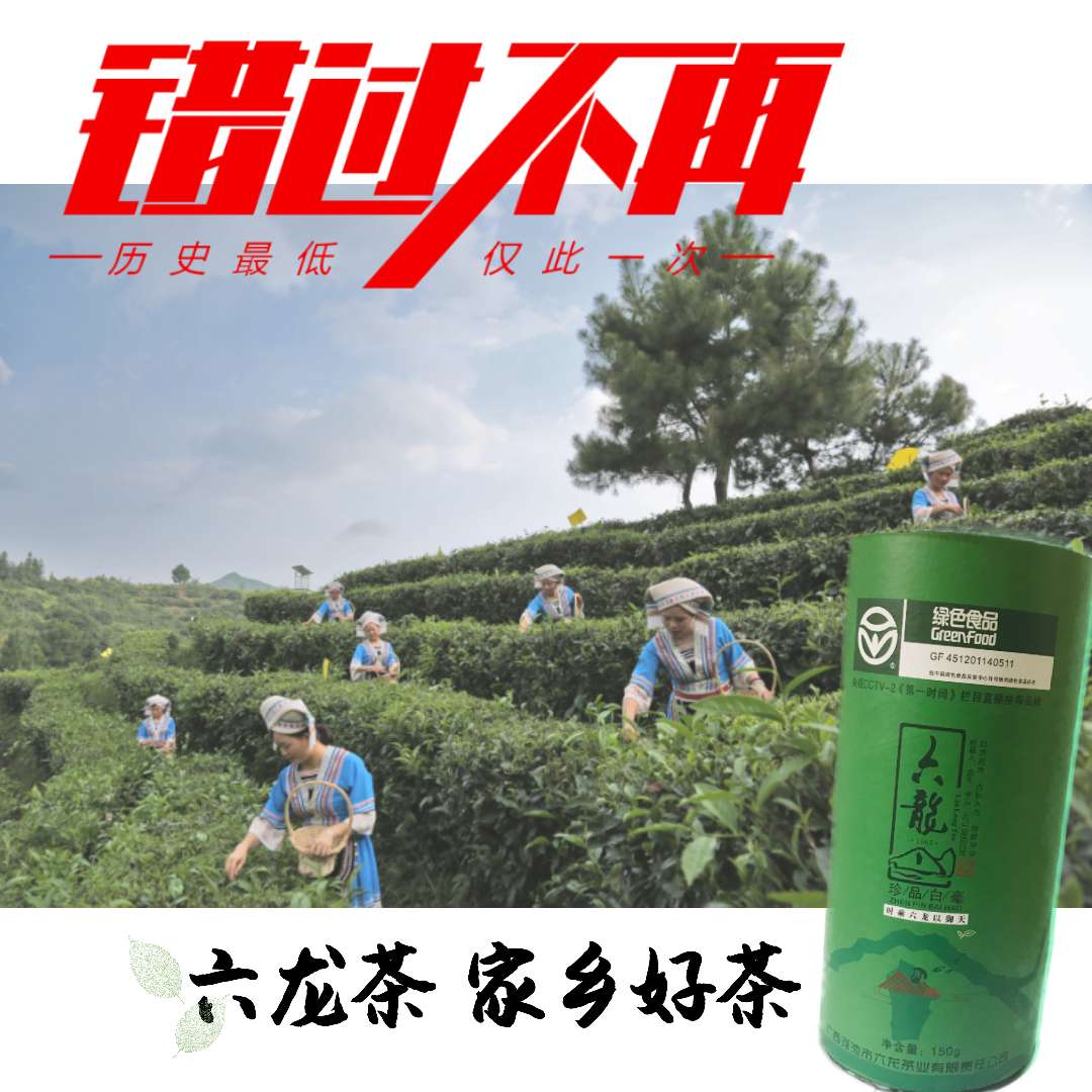 六龙茶明前白毫茶珍品白毫2019新茶绿茶一级广西特产河池南丹六寨