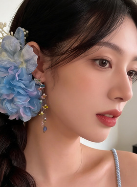 蓝楹蝶早春蓝色发夹36
