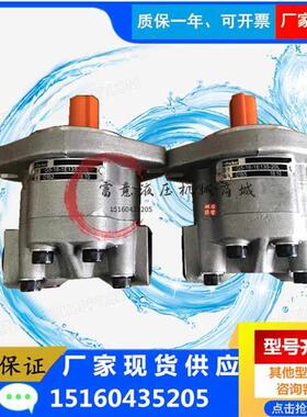 天津派克液压齿轮油泵G5-5 6 8 10 12 16 20 25 30-1FE1V3F-20R/L