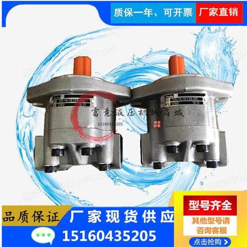 天津派克液压齿轮油泵G5-5 6 8 10 12 16 20 25 30-1FE1V3F-20R/L