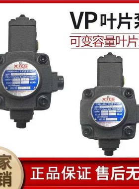 工厂直销VP30FA3变量叶片泵VP40FA3VP45液压油泵XTCG液.压油泵总