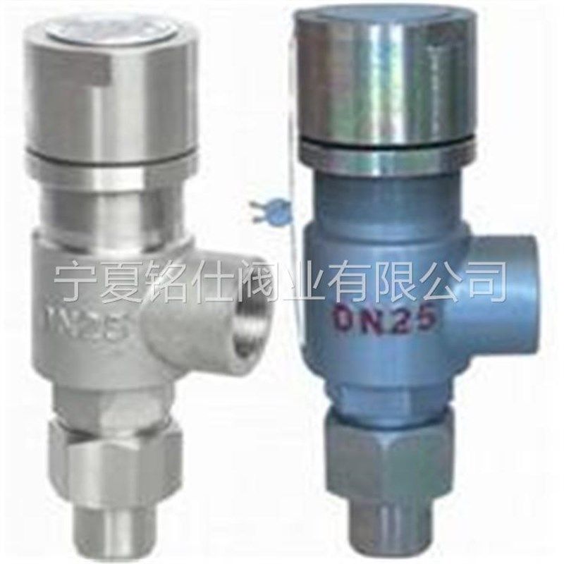 A21H-16 弹簧微k启式外螺纹安全阀A21H-16/25/40/64/100/160/320C,农机/农具/农膜,灌溉控制器,淘宝优惠券,粉丝福利购,淘宝优惠卷