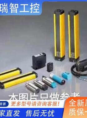 原装正品RISESUN瑞升电流表 BE-96 DC1W0V  30A