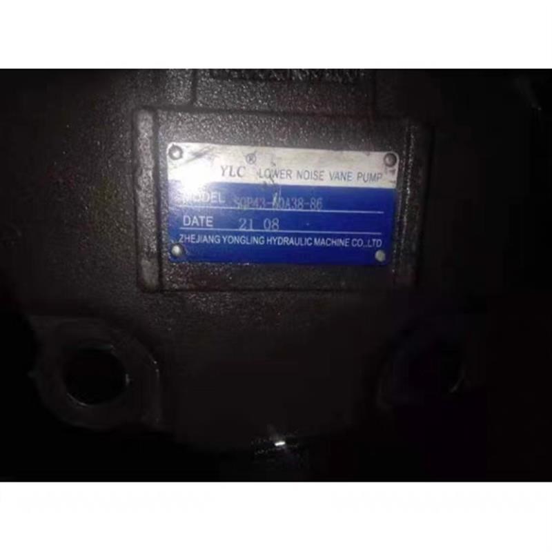 仙居永灵c 叶片泵 OP43-80A38-86 液压油泵