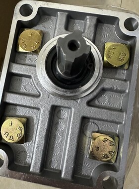 江苏淮阴液压CBN-G325 3r04 306 310 314 316 320 液压齿轮油泵