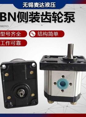 齿轮泵CBT-F310L/F306L/F320L/F314L/F31Q6L农用车拖拉机液压油泵