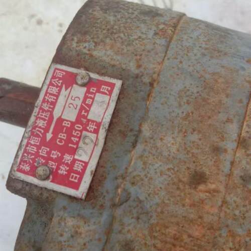 泰兴市恒力液压 CB-B25 液压齿轮W油泵全新发货