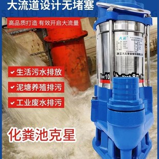 不锈钢小型污水泵220v抽粪泥浆切割化粪池O380v三相泥浆排污 大元