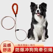 狗狗牵引绳耐咬冲狗型犬防爆中型狗子遛狗专业训犬狗链P绳可调节