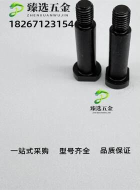 带肩铰炼销轴MIE0-D4L D5YMY-LL10 L121 L14 15 L16 18螺帽固定型