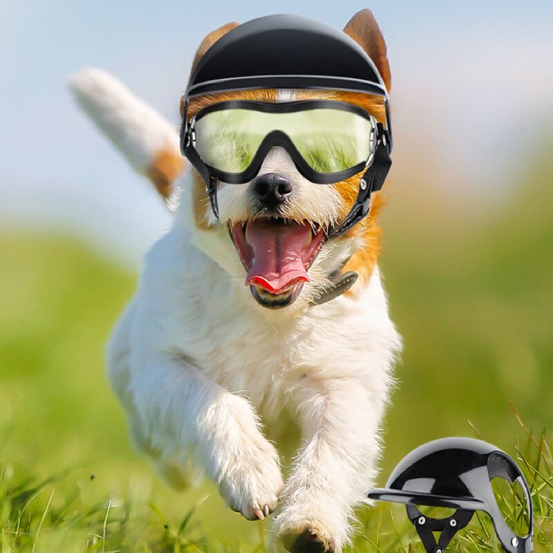 柯基宠物头盔漏耳朵中大小型犬猫咪帽防风眼镜骑行摩托车狗狗帽子