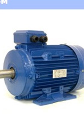 进口意大利ELVEM电机 进口ELVEM三相异步6XIM80B4 0.75KW 刹车电