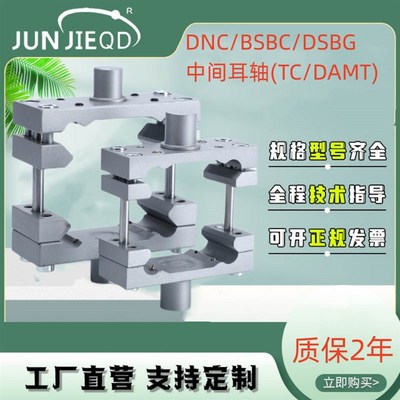 源头工厂DNC/DSBC/DSBG气缸安装附件DAMT中间耳轴SE-TZC前后中摆