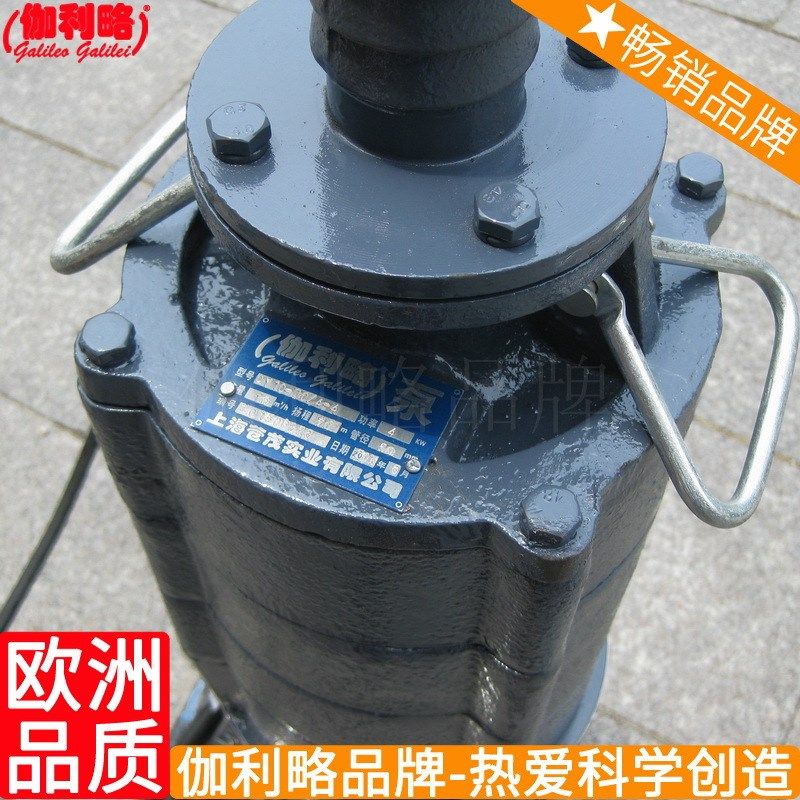 充油式小型潜水泵 pqy油浸潜水泵 qy-15潜水泵 闽,鲜花速递/花卉仿真/绿植园艺,花园水泵,淘宝优惠券,粉丝福利购,淘宝优惠卷