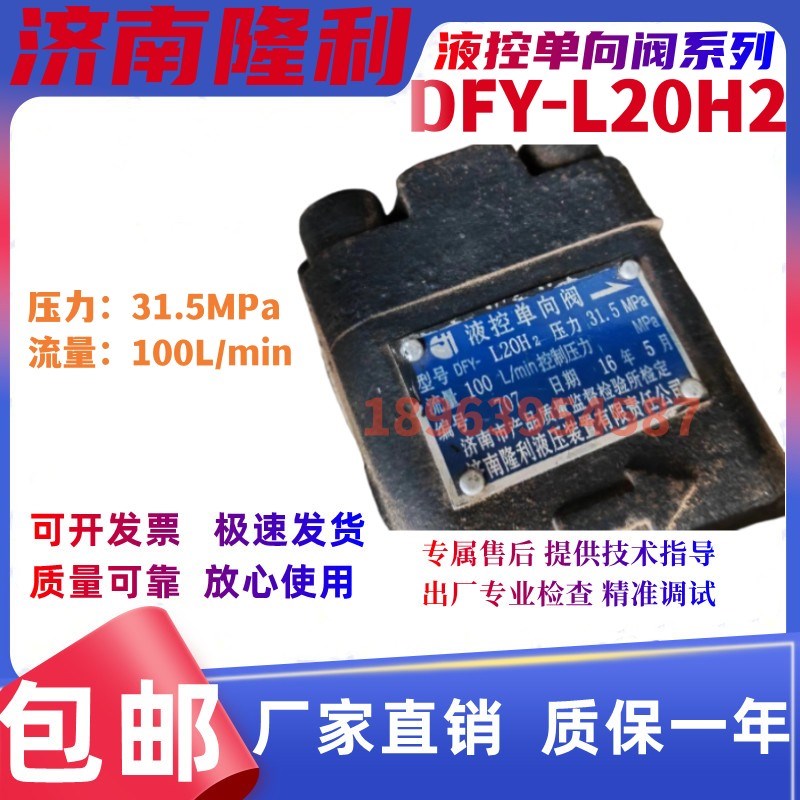 济南隆利液压  液控单向阀 DFY-Lv20H2    DFY-L50H1/2/3/4 液压