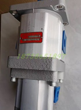 齿轮油泵CBNT-F550r/F410-BL1HL合肥皖液环卫垃圾车油双联泵