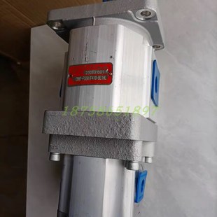 BL1HL合肥皖液环卫垃圾车油双联泵 F410 齿轮油泵CBNT F550r