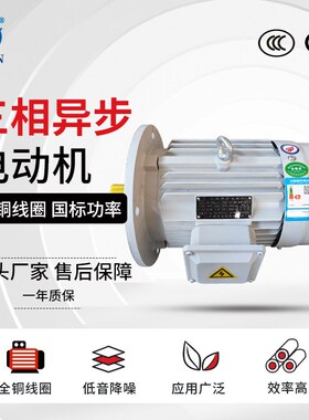加工定制6极三相异步电动机160KW 380V国标全铜马达B3U/B5/B35电
