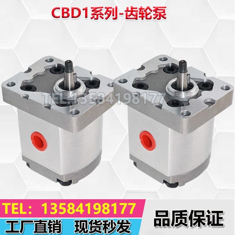 CBD1-F203.2/F201.3/F201.6/F202.7/F204.2/CBD1-F205Y.8齿轮油泵