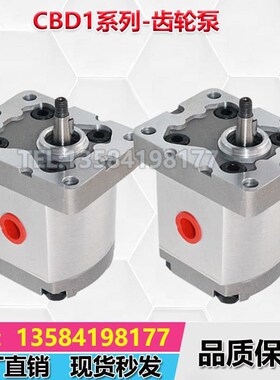 CBD1-F203.2/F201.3/F201.6/F202.7/F204.2/CBD1-F205Y.8齿轮油泵