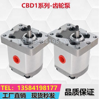 CBD1-F203.2/F201.3/F201.6/F202.7/F204.2/CBD1-F205Y.8齿轮油泵