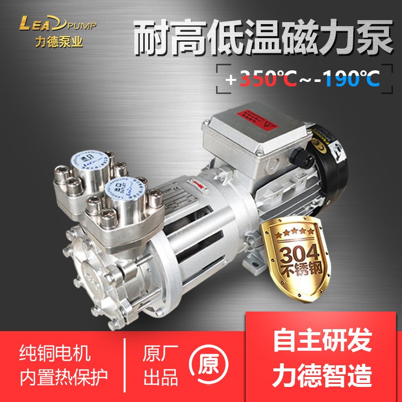 模温机泵 模温机水泵  模温机油泵 A 水温180  油温350 磁力