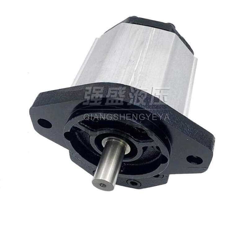 齿轮泵GHP1A-D-5 GHP2A-BD-12-FG GHP3A-D60液压泵