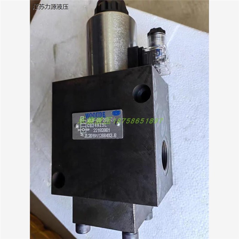WOOUDE 电磁阀WDJF-DG-20B-2/CW220RNZ5L WDJF-DO-2T0B/CG24NZ5L