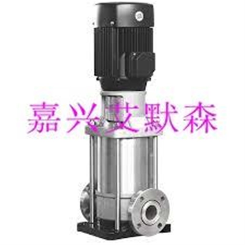 泵65CDLF32-120FSWSRB防U爆立式多级热水泵