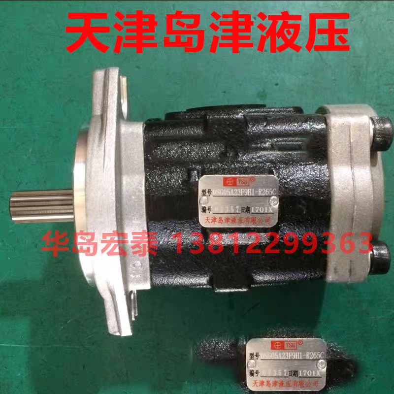 天津岛津液压油泵 DSG05A16F9H9-R005C岛津齿轮T泵 挖掘机叉车油