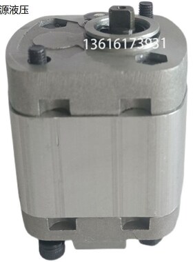 CBT-E100.19/E100.26/E10v0.38/E100.45/E100.60E100.75齿轮泵TRY