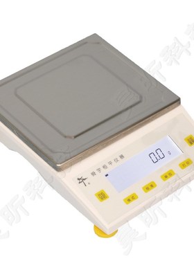上海舜宇恒平e MP61001大称量电子精密天平0.1g十分之一