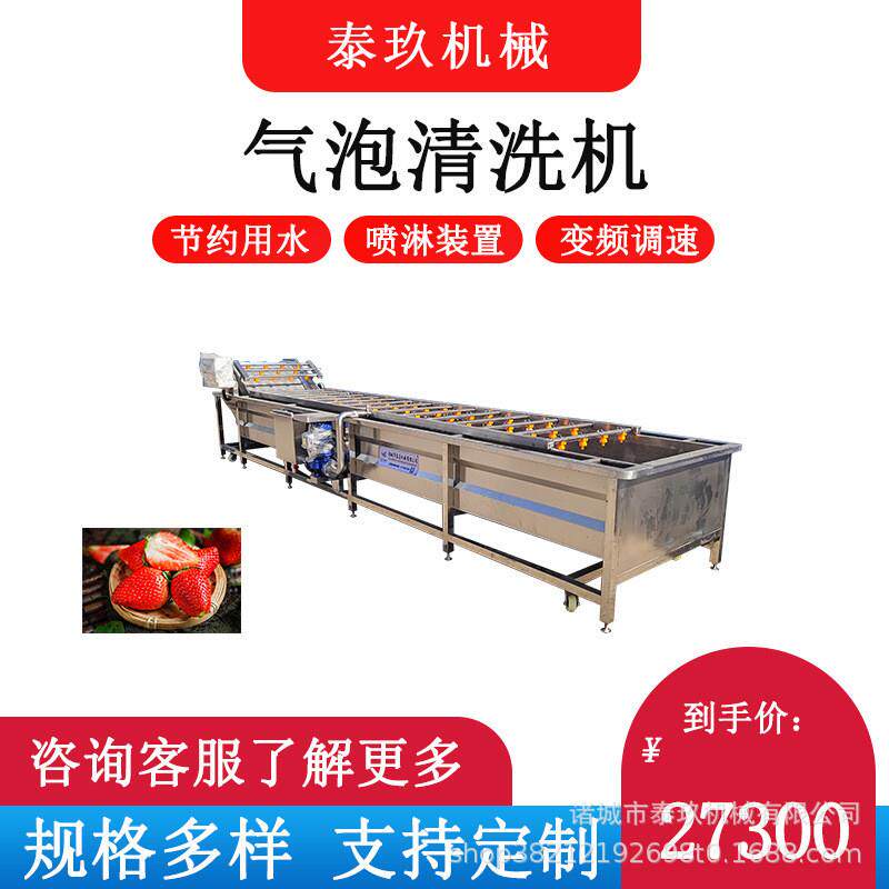小米椒气泡清洗机芥菜洗菜机树莓清洗去杂机黑枸杞翻浪清洗设备