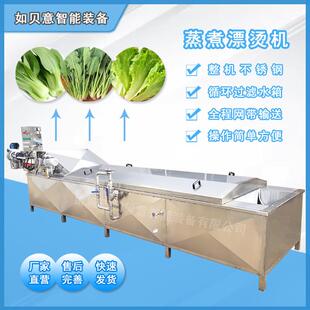 预制菜加工流水线设备杀青流水机 藕片蒸煮漂烫机 豌豆漂烫杀青机