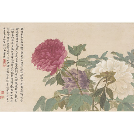 恽寿平 王翬《 牡丹 》  艺术衍生品 博物馆级复刻版画