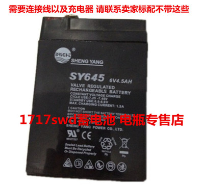 晟阳玩具车蓄电池