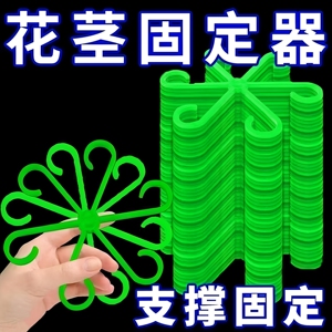 龟背防倒伏支撑固定器绿植固定架