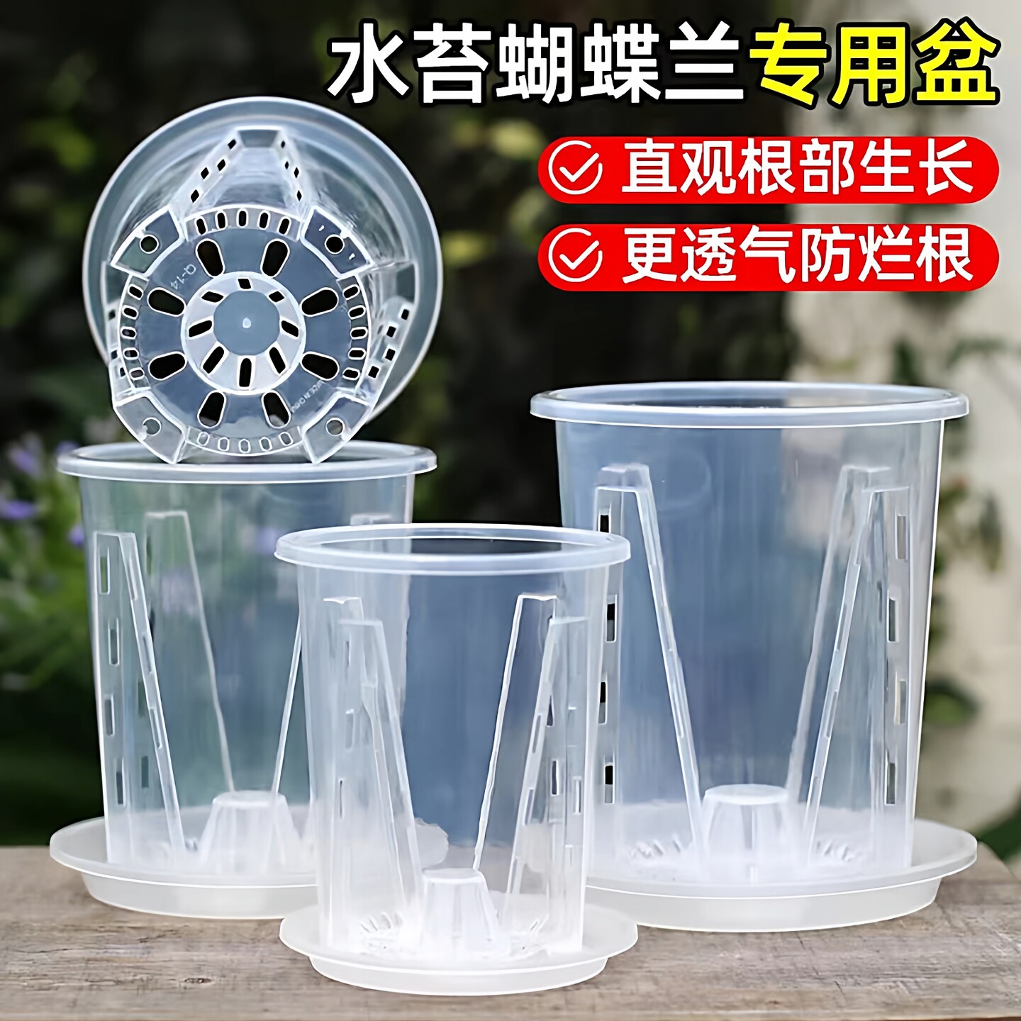 水苔蝴蝶兰专用花盆透明青山控根盆加厚大号透气兰花塑料花盆家用