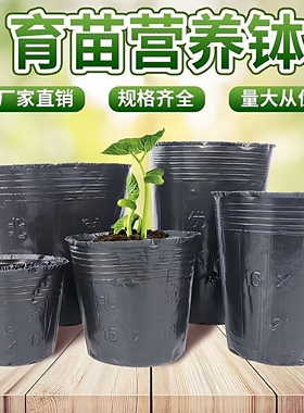 营养育苗杯塑料小碗一次性花盆黑色种植营养袋育苗袋育苗盆营养钵