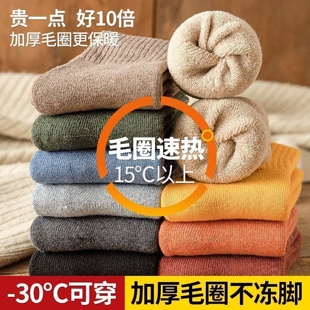袜子男款秋冬季加绒加厚保暖中筒男士毛圈睡眠毛巾地板袜防寒长袜