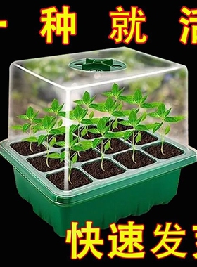 有孔塑料育苗盒三件套保温保湿育苗穴盘多肉叶插盒园艺落地式吸塑