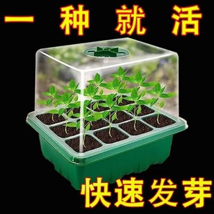 有孔塑料育苗盒三件套保温保湿育苗穴盘多肉叶插盒园艺落地式吸塑