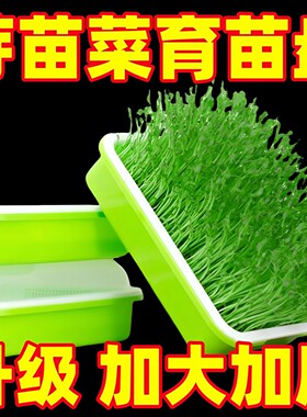 小麦芽苗菜育苗盘阳台种菜盆水培蔬菜豆芽蒜苗种植托盘种子网格