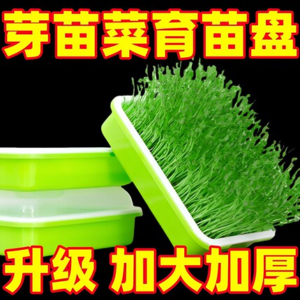 小麦芽苗菜育苗盘阳台种菜盆水培蔬菜豆芽蒜苗种植托盘种子网格