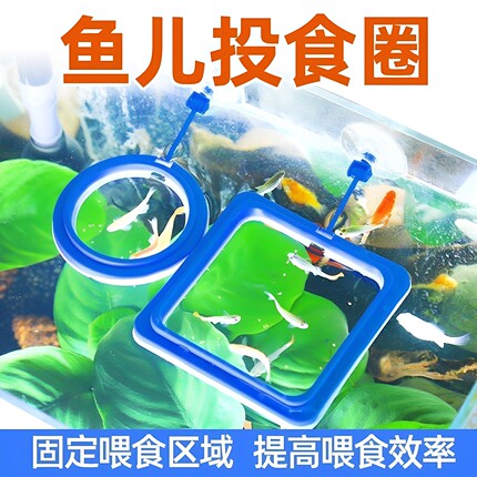 鱼缸喂食器防飘散漂浮喂食圈投食器投食圈鱼食投喂器喂鱼饲料固定